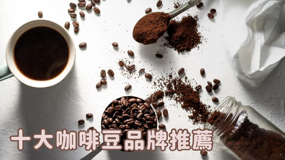 企業咖啡豆採購指南：十大熱門辦公室咖啡豆品牌推薦